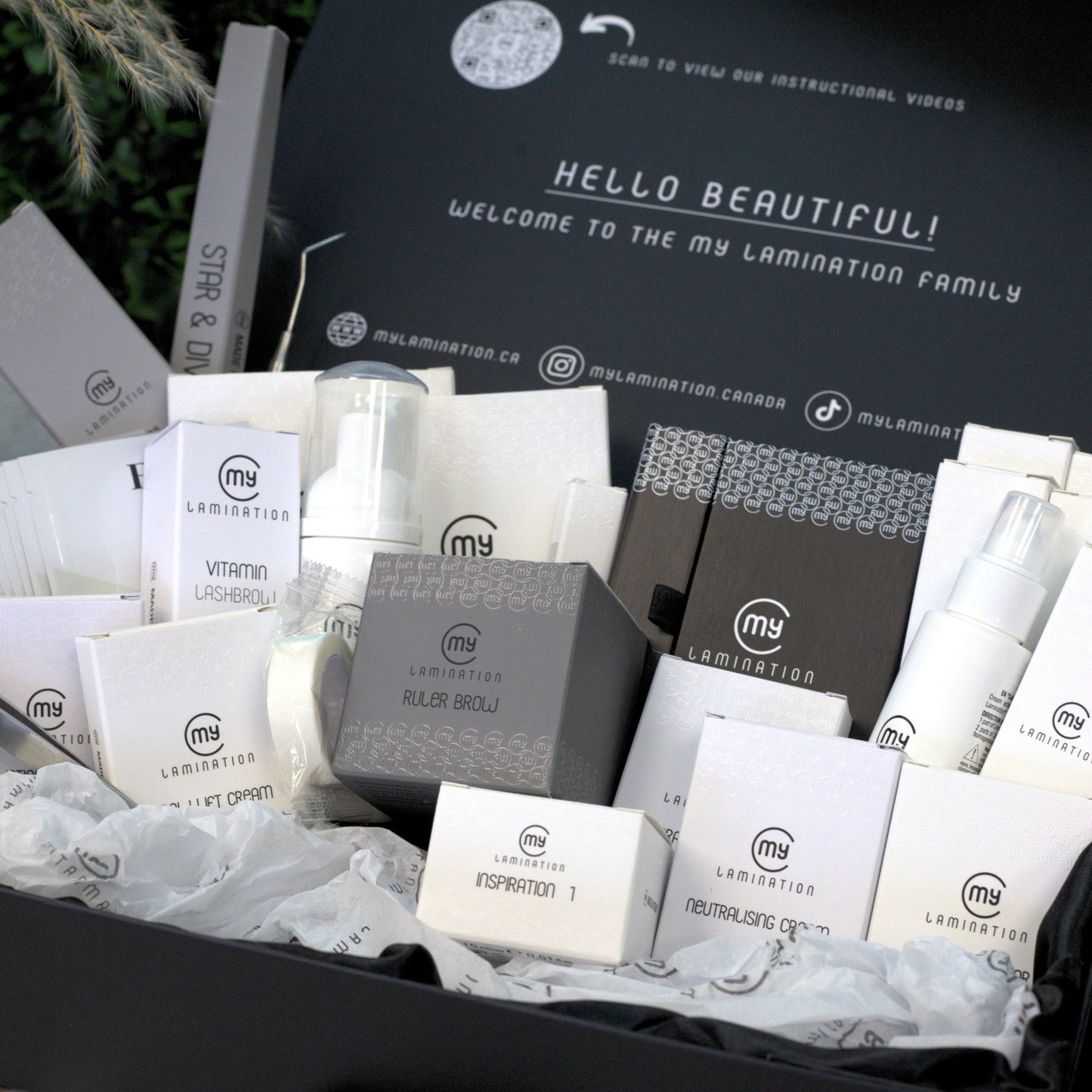 Lash and Brow Kit Bundle