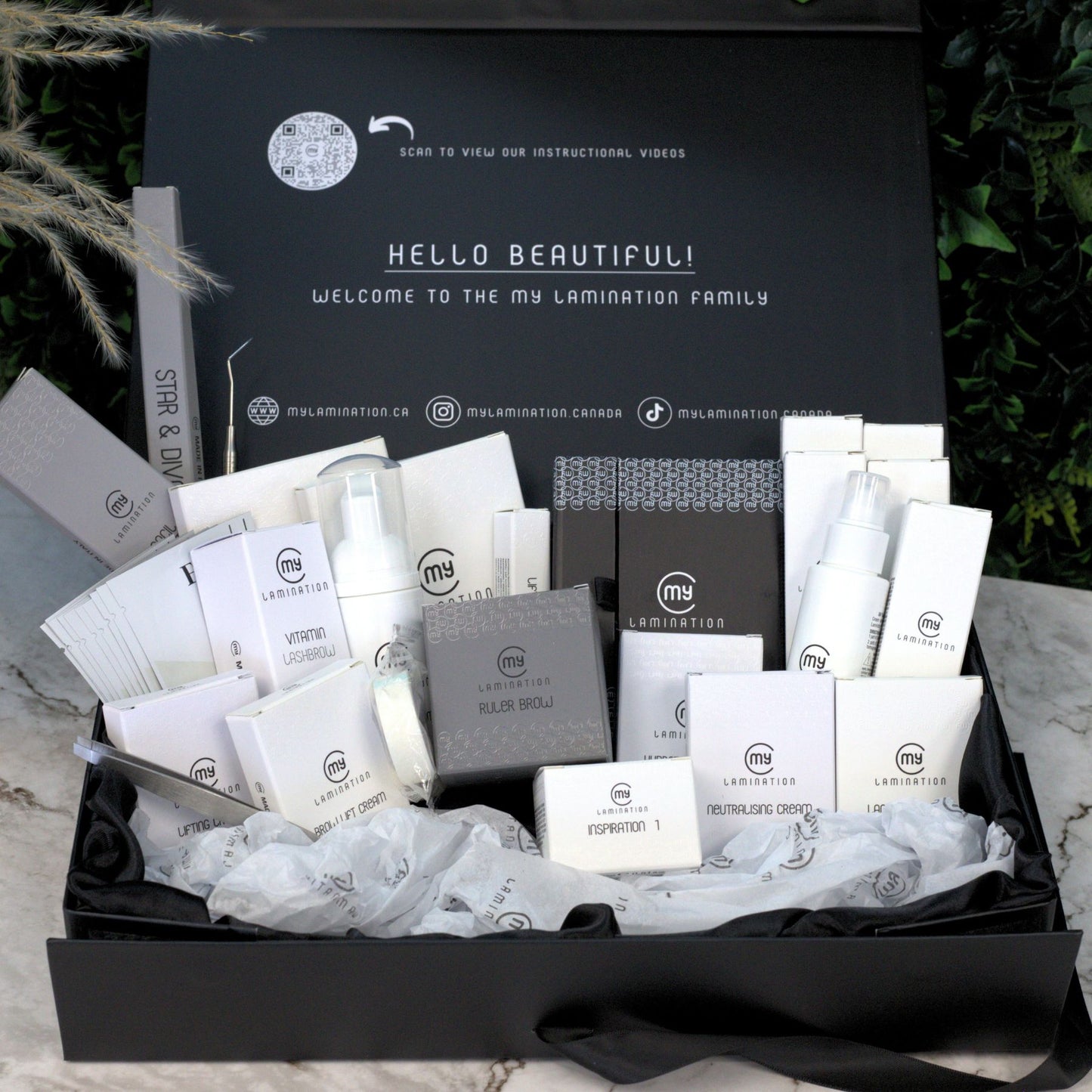 Lash and Brow Kit Bundle